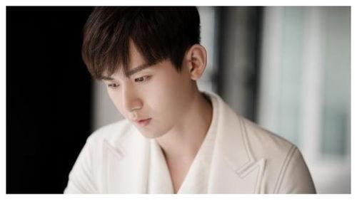 娱乐圈吃瓜成毅是谁啊